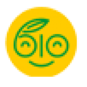 www.shopicera.com